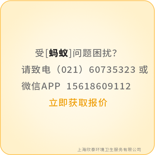 蚂蚁(1).png